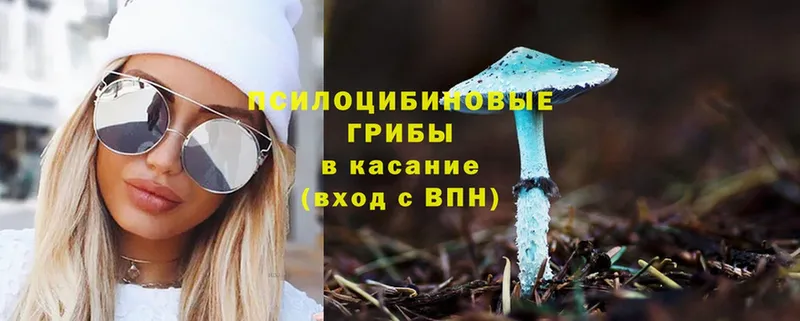 Псилоцибиновые грибы MAGIC MUSHROOMS  Енисейск 